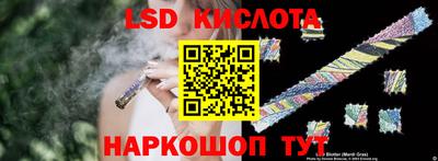 прущие грибы Новодвинск