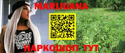прущие грибы Новодвинск