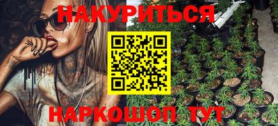 прущие грибы Новодвинск