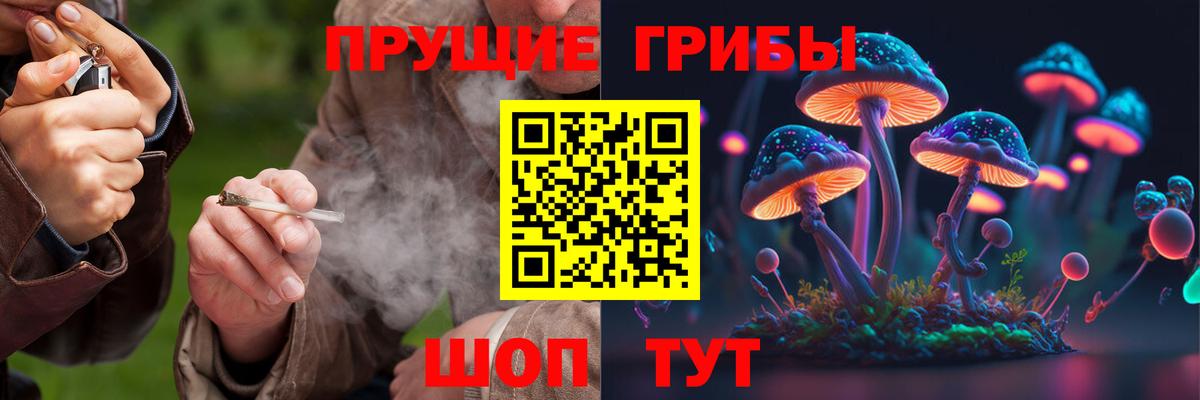 Галлюциногенные грибы ЛСД Сыктывкар